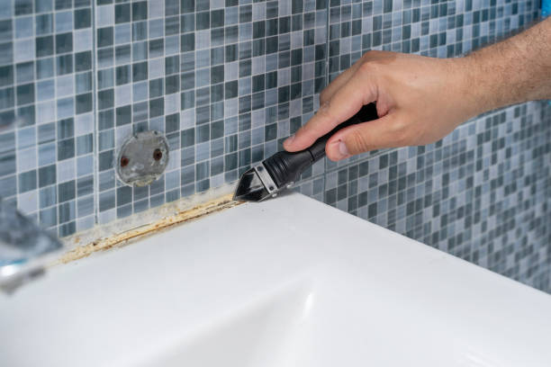 Best Post-Flood Mold Remediation in Ocala Estates, FL